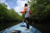 Reading the Mangroves