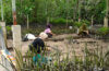 A Community-led Nursery in Pengudang Village