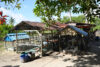 Planting Mangroves as an Ancestral Practice of Care