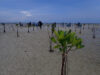 Learning about the Mangroves with Pengudang Mangrove School
