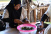 Pioneers in the Mangrove Forests
