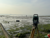 Studying the Ancient Forests of the Coastlines