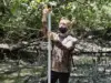 Forests Squeezed Between Rising Seas and Concrete