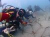 Coral Transplantation: A Community-led Stewardship Practice